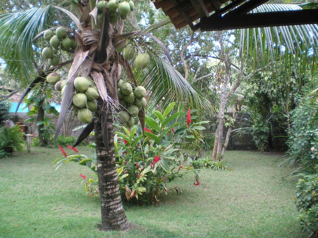 Villa Casa Da Duda Porto Seguro Habitación foto